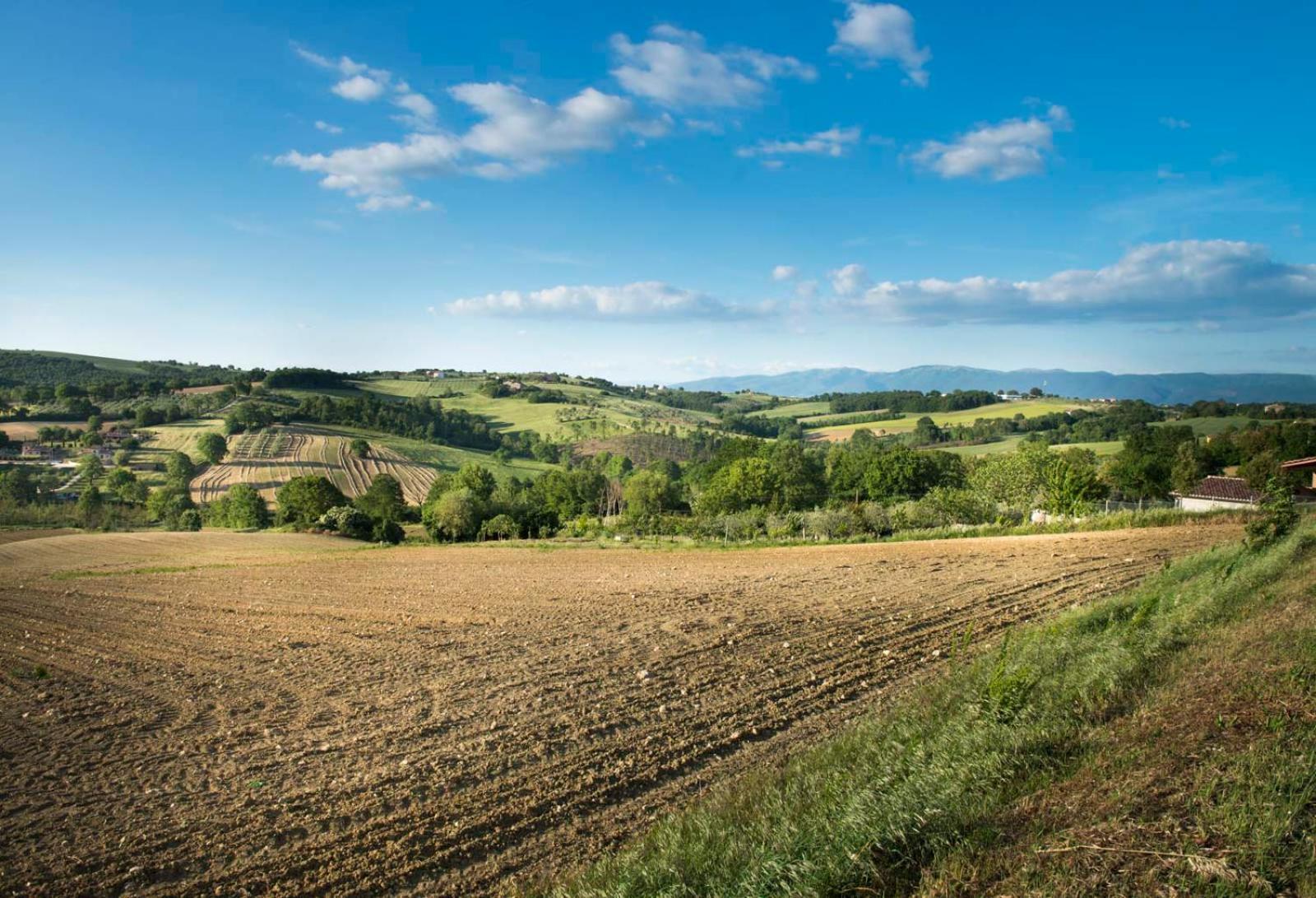 Agriturismo Piano Grande Avigliano Umbro Екстер'єр фото